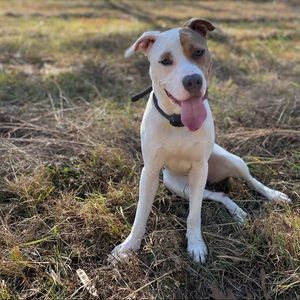 Meet your Posher, Bethany